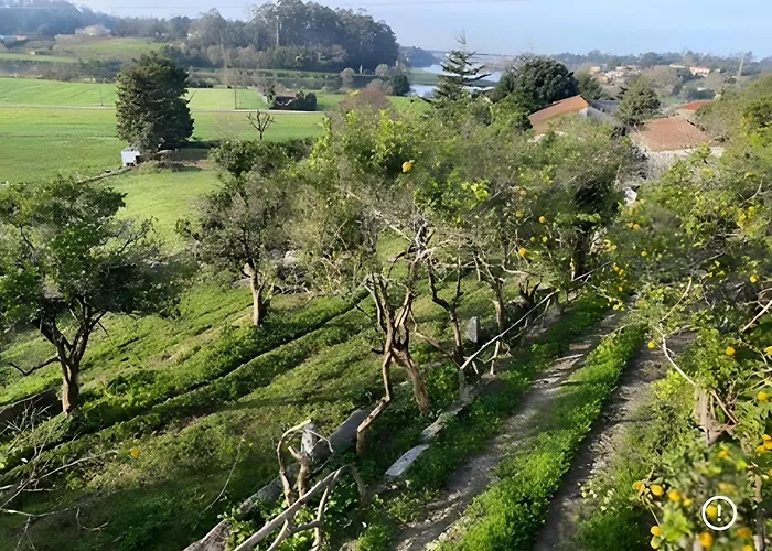 Casa Pitoresca - Refugio Esposende